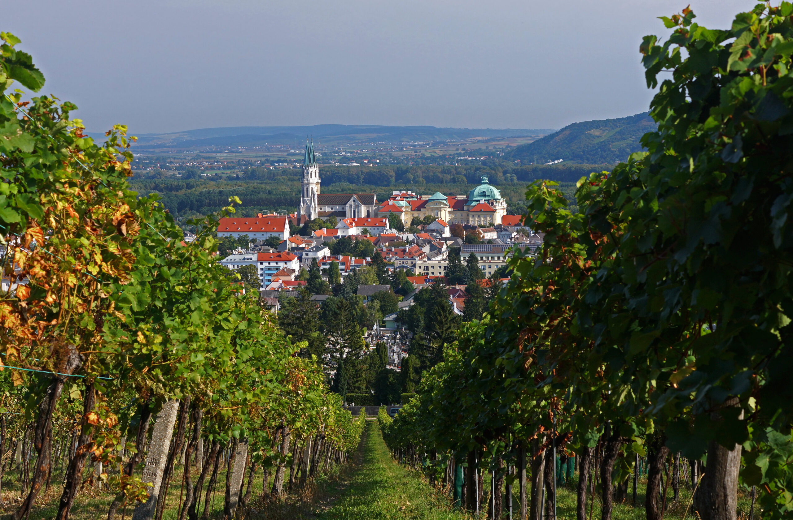 Blick durch die Weingärten auf das Stift Klosterneuburg