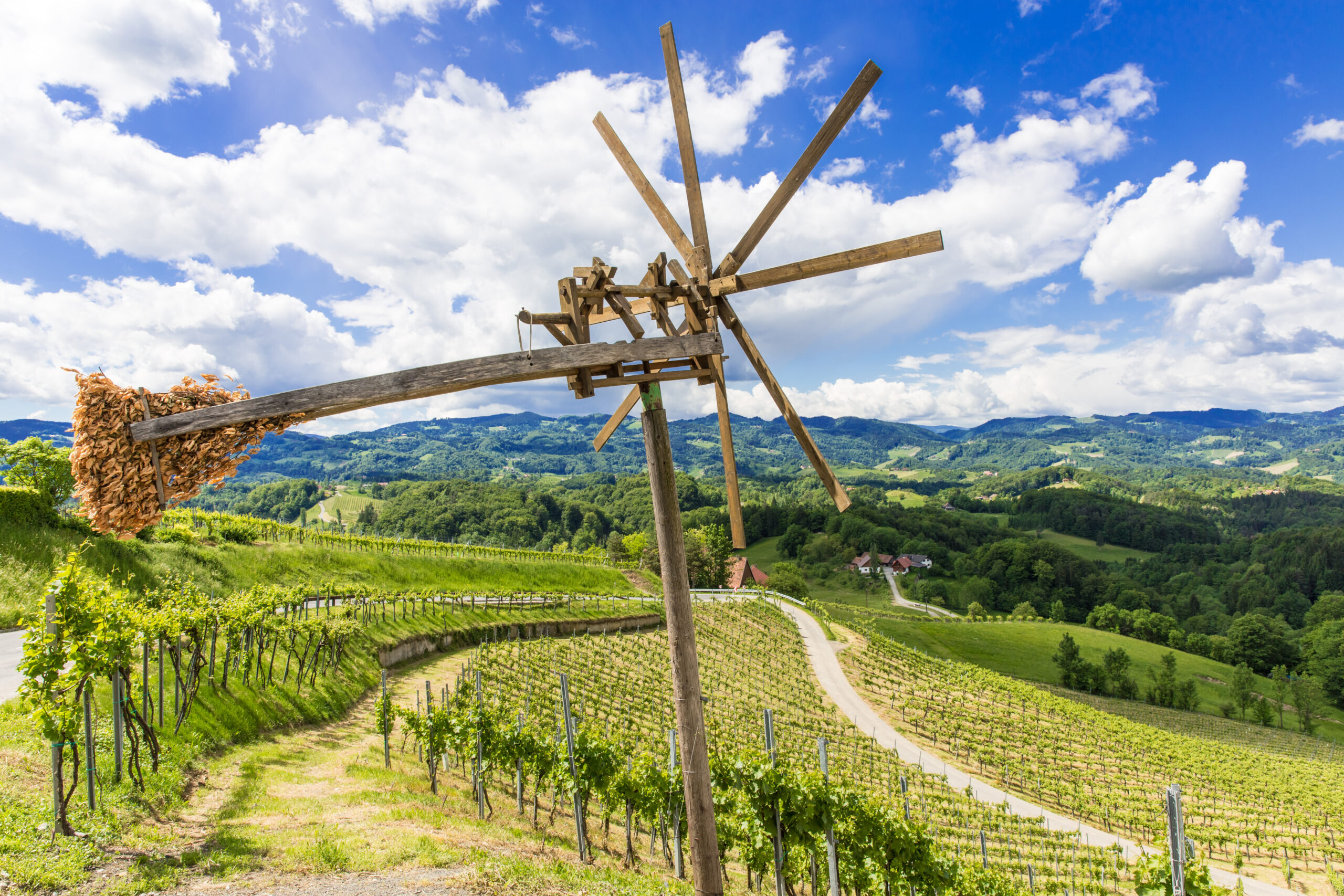 Weinland Südsteiermark, Österreich